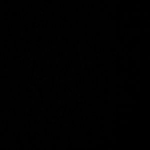 Meet your Posher, Cassandra